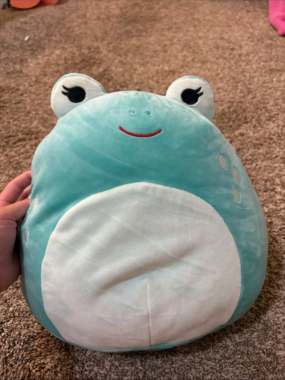 Squishmallows Turquoise & White Frog Plush